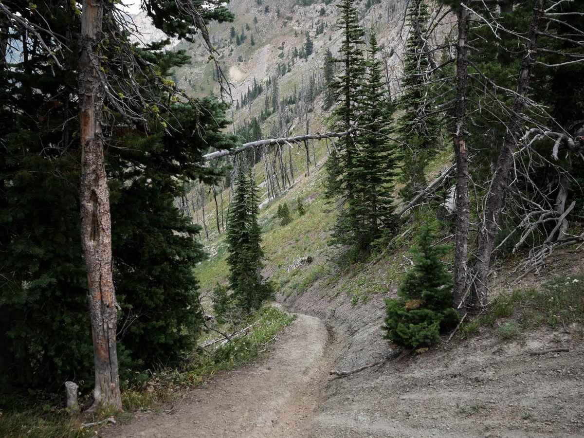 Bridger Foothills photo 5