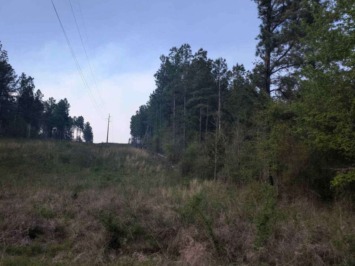 Old Windship Road photo 3