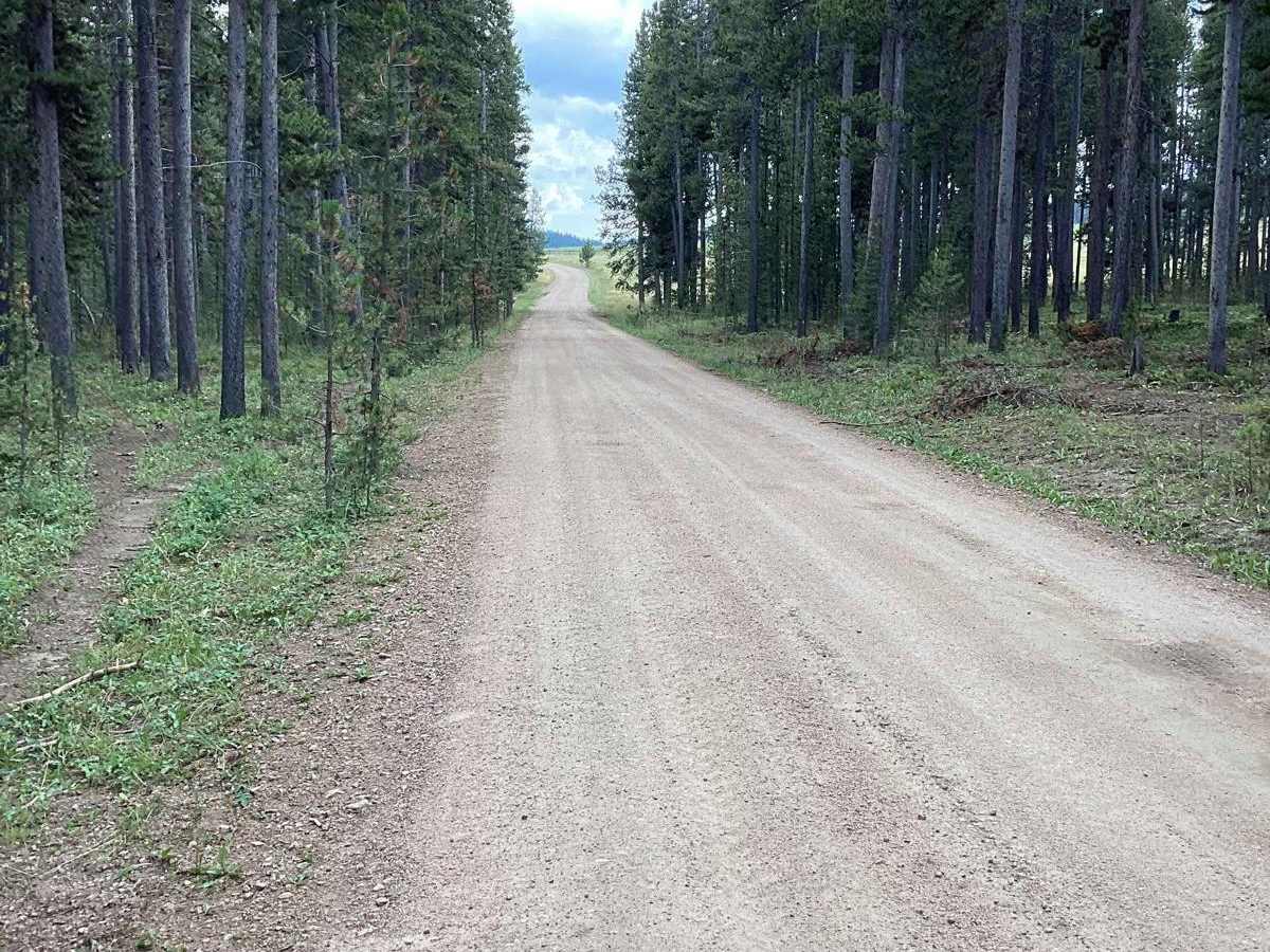 Nickle Creek trail photo