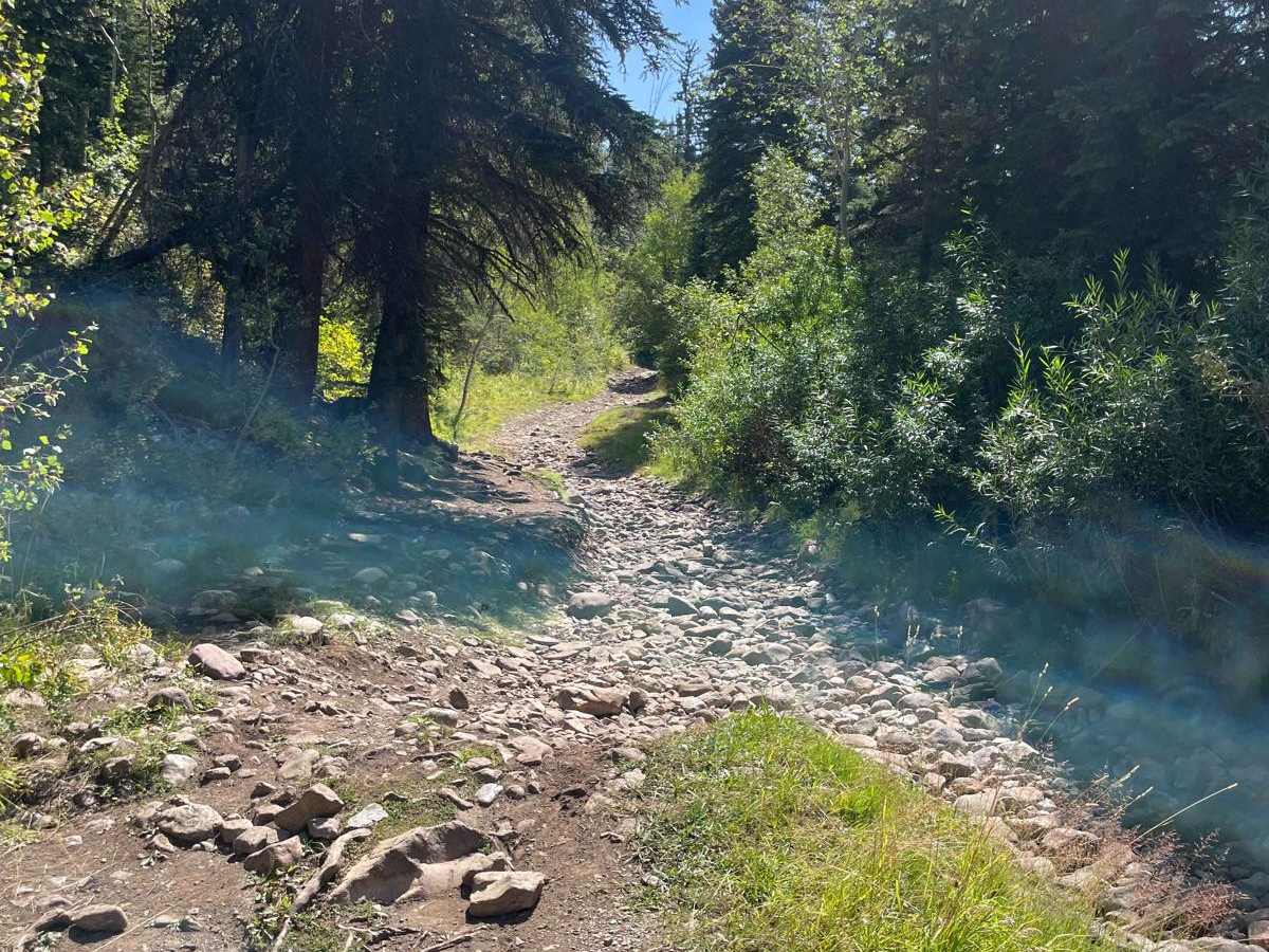 South Fork Weber - FR 031 photo 6