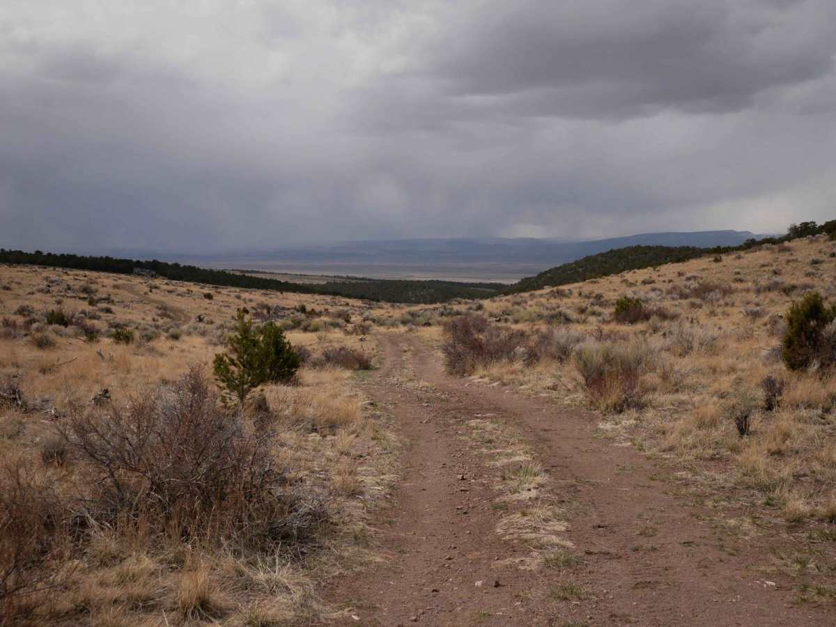 Bull Rush ATV Trail photo 3