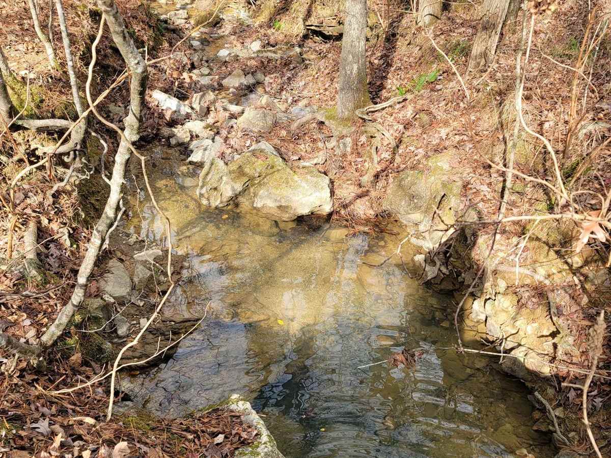 Kings Gap Mountain Road photo 3