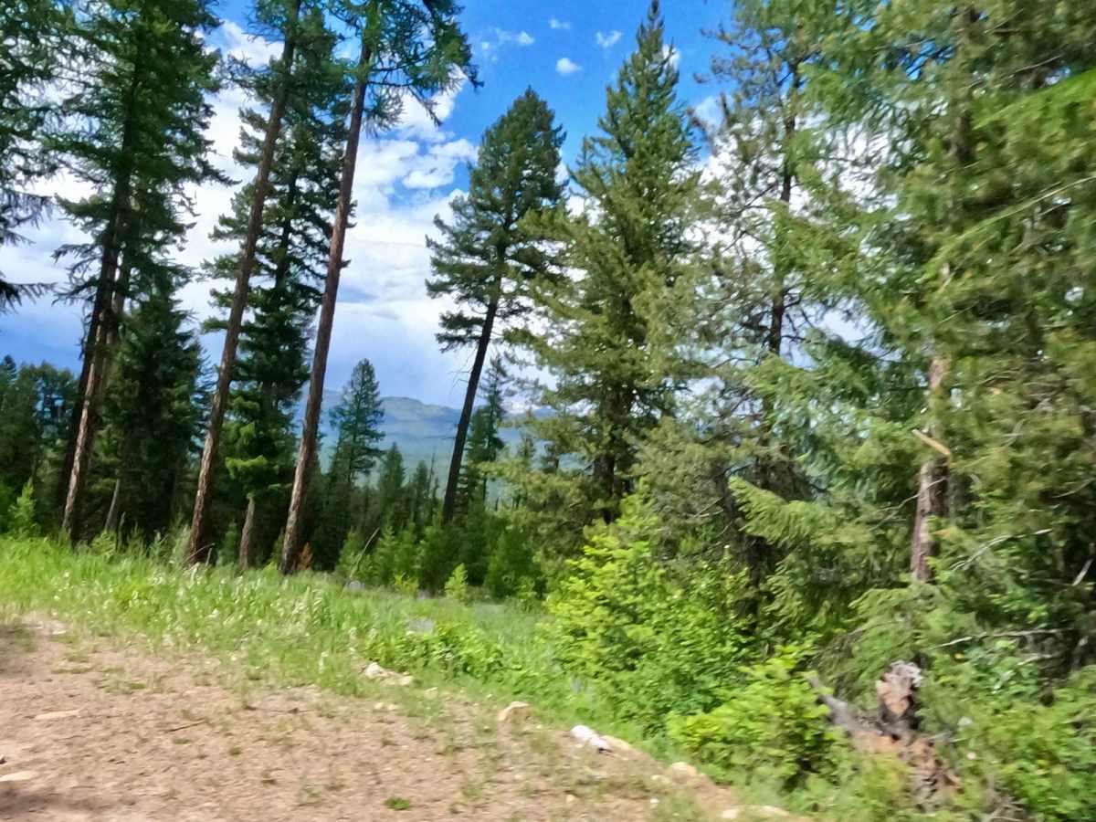 W. Nine Mile Rd (5520)-First Cr Rd (5475) photo 6