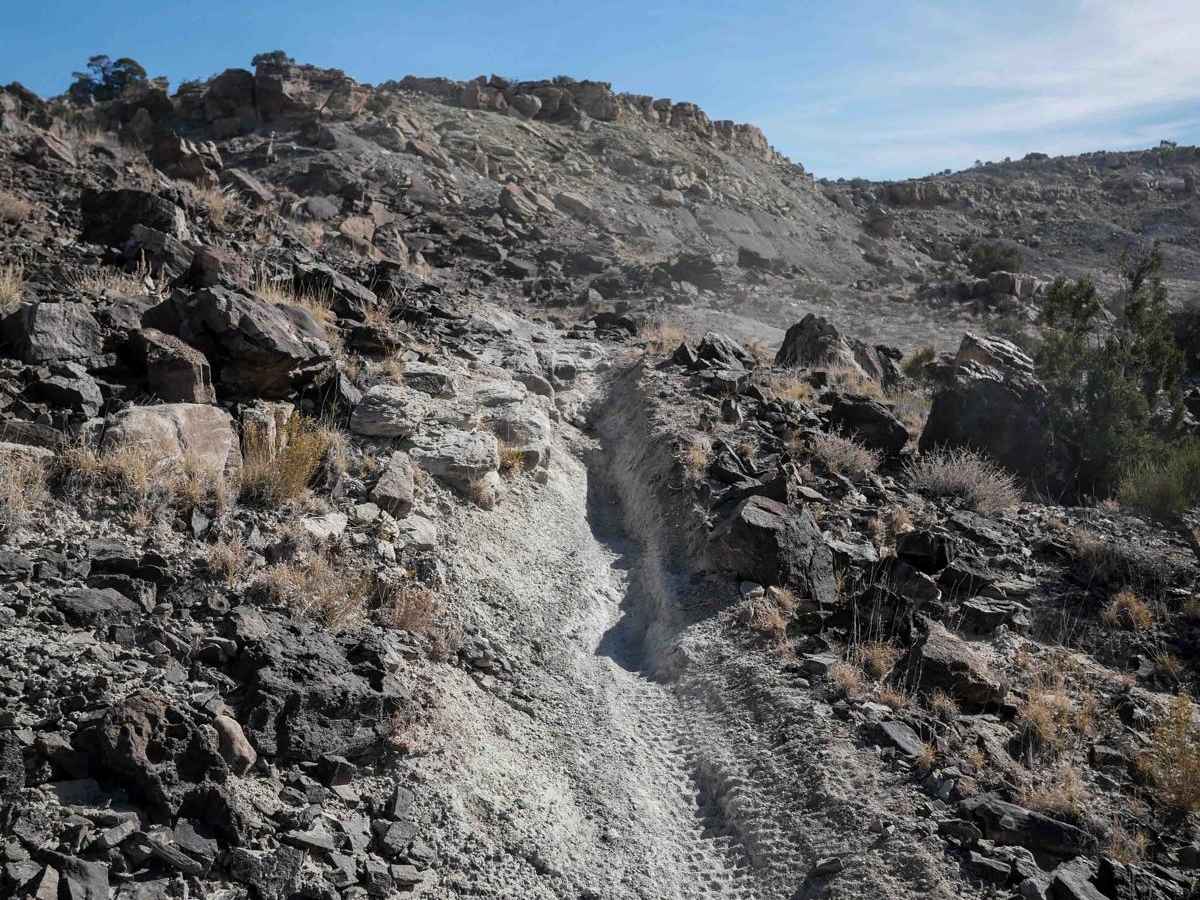 Odds North Access Trail photo 3