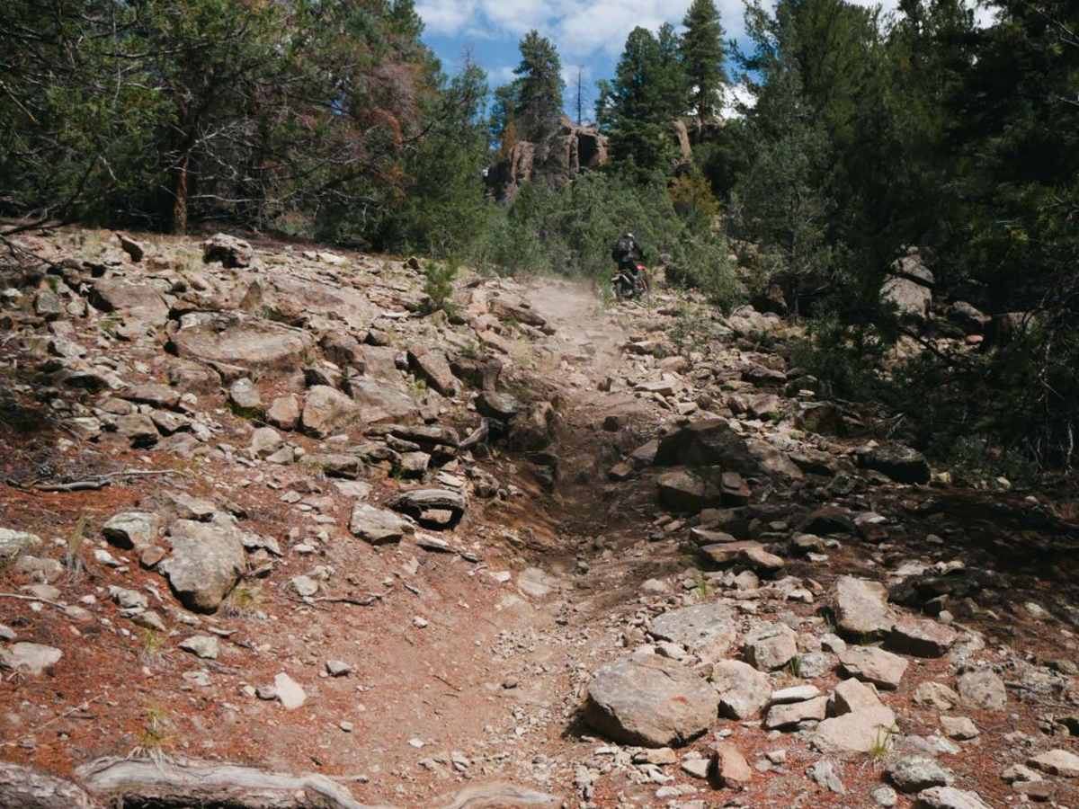 Palisade Trail photo 2