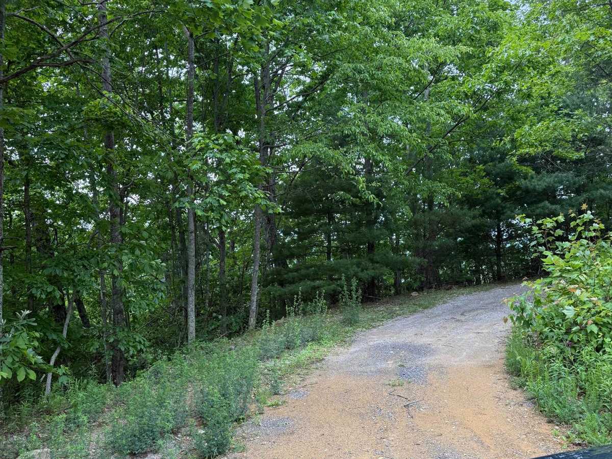 Wolf Creek Road photo 4