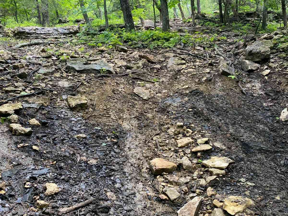 Winner Winner trail photo