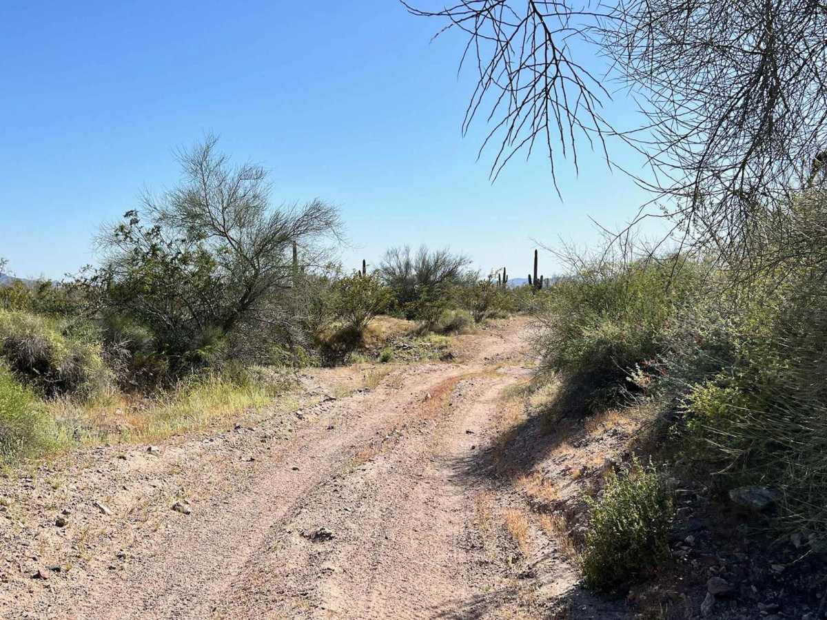 Reserve Bank Mine Trail photo 4