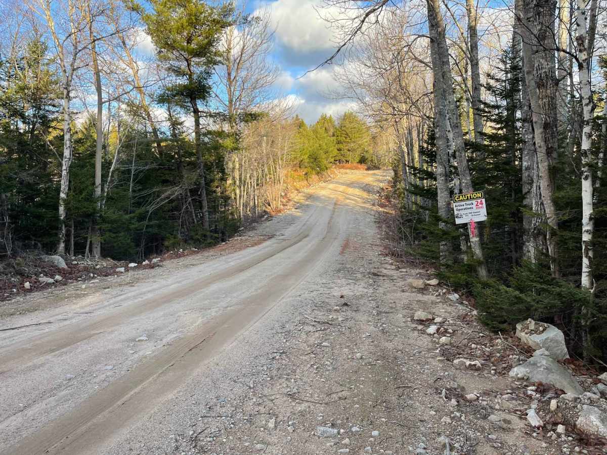Mill Lake Road photo 2