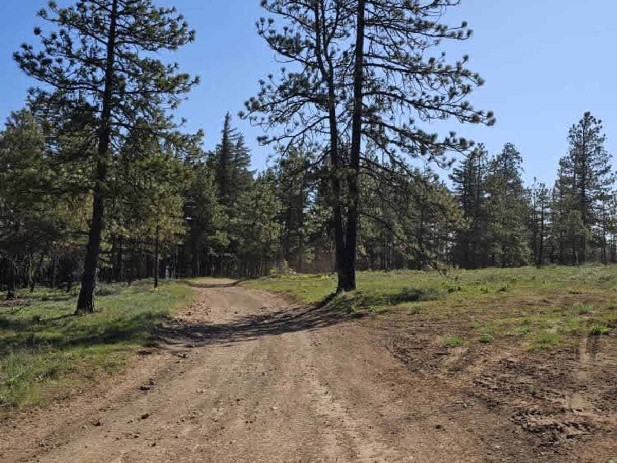 Moonlight Canyon photo 2