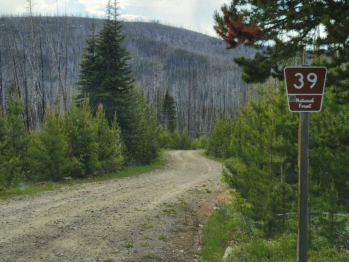 NF 39 (North) - Meadows-Toats photo 5