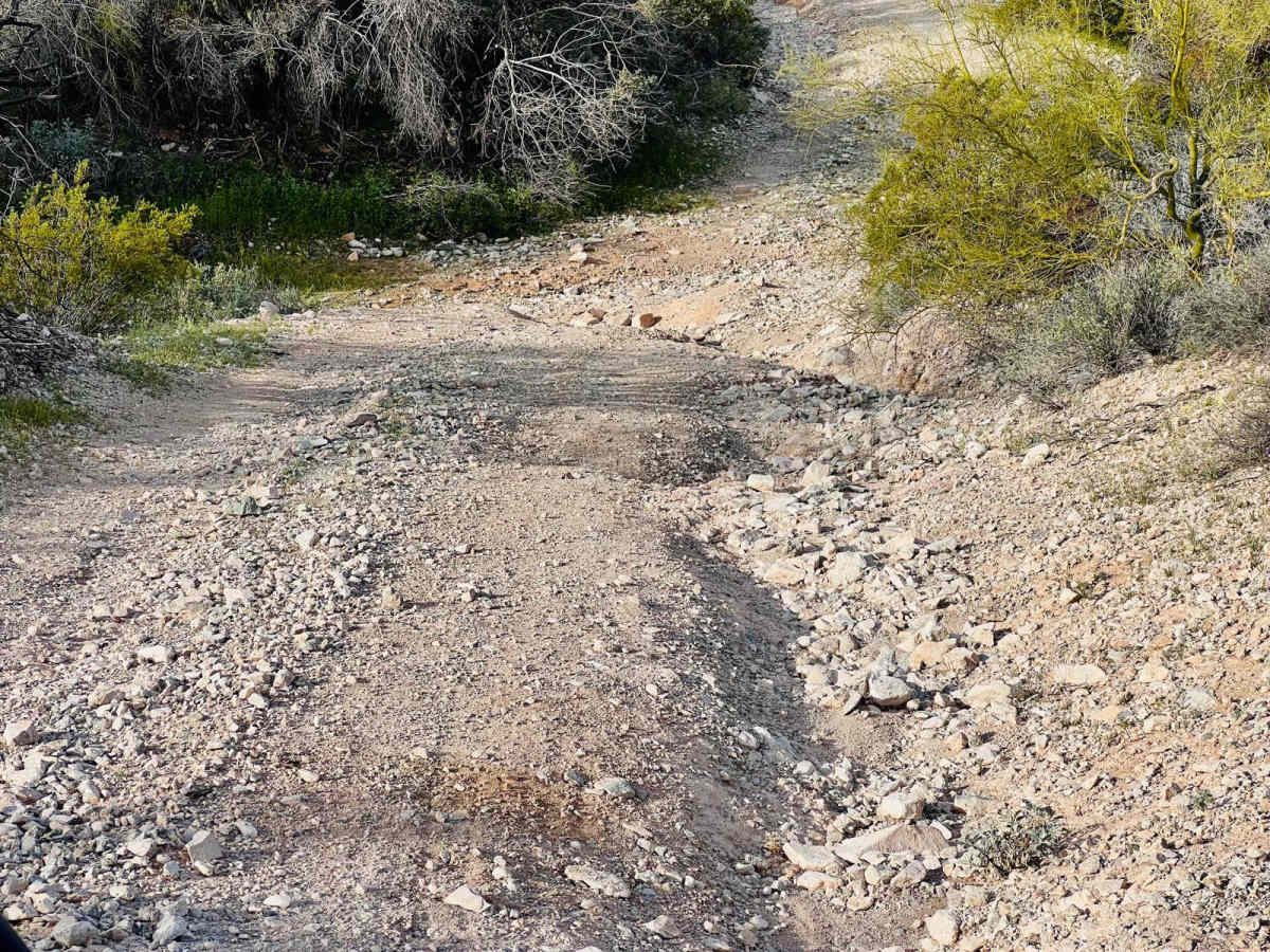 Canyon Camp Loop Ajo photo 5
