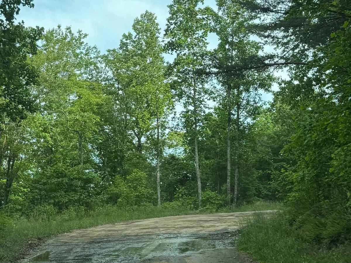 Pigeon Mountain photo 4