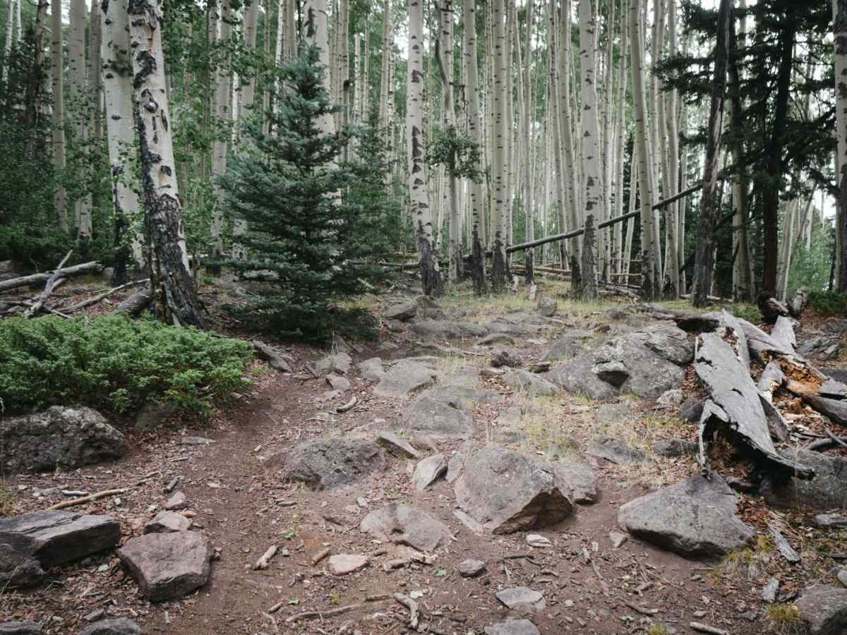 Hot Creek Trail photo 2