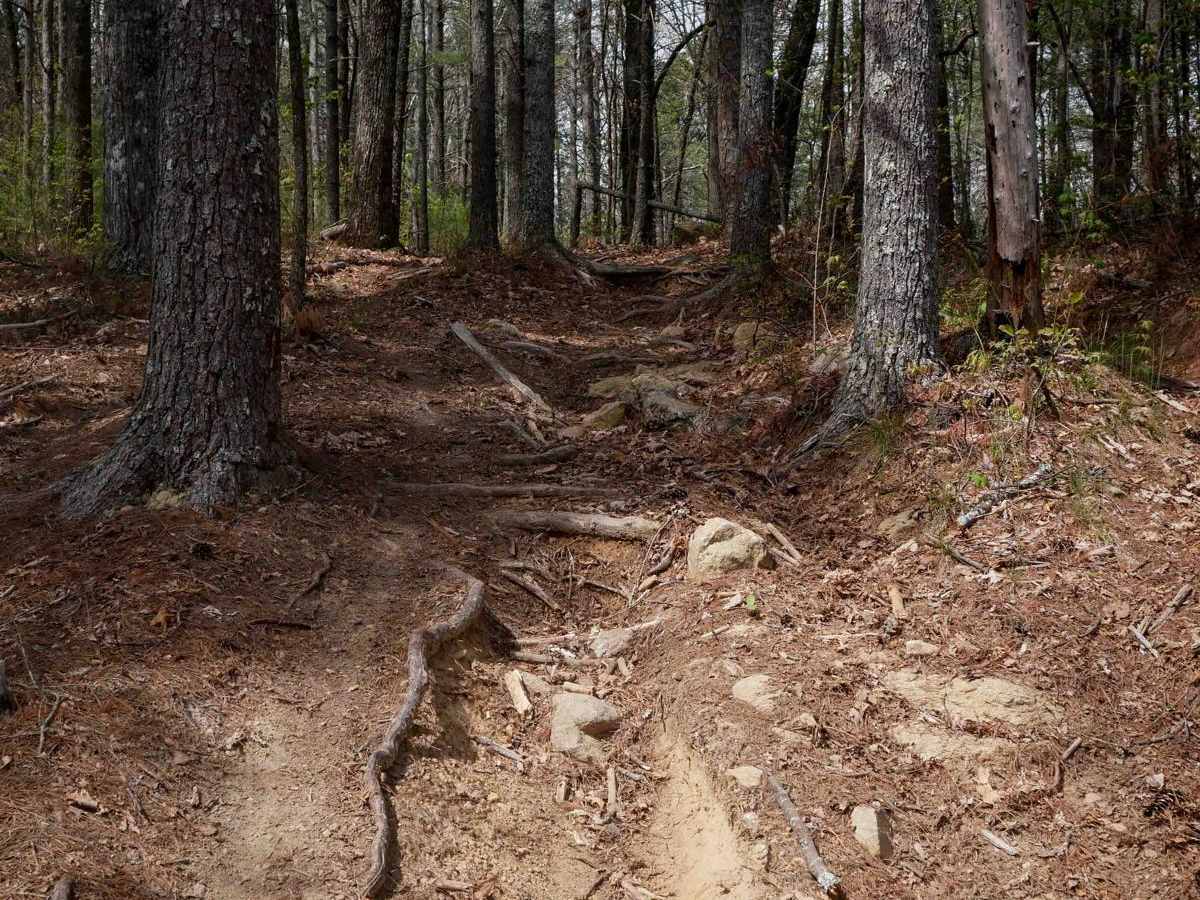 Trail 7 Richard's Bypass photo 3