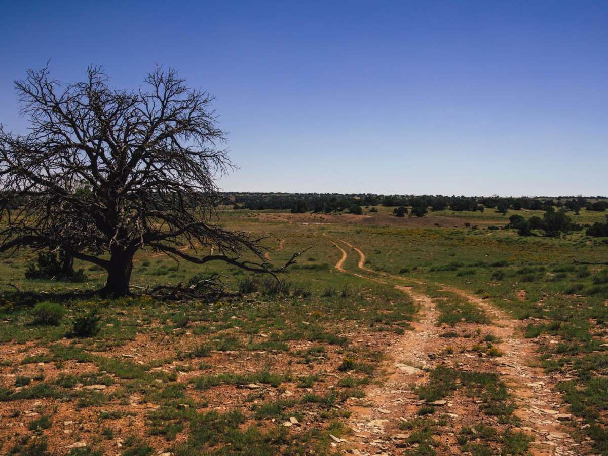 Buckhorn Canyon photo 6