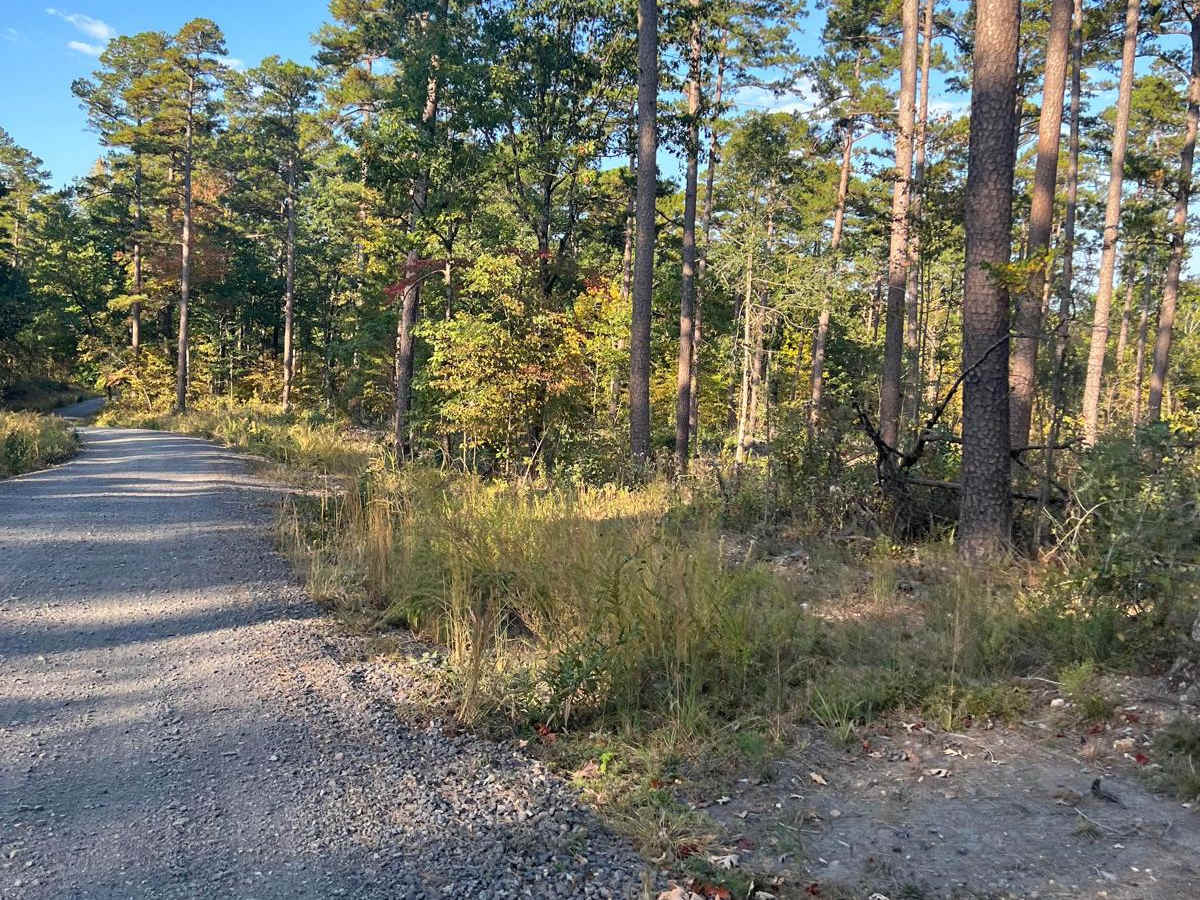 Nunley Road photo 3