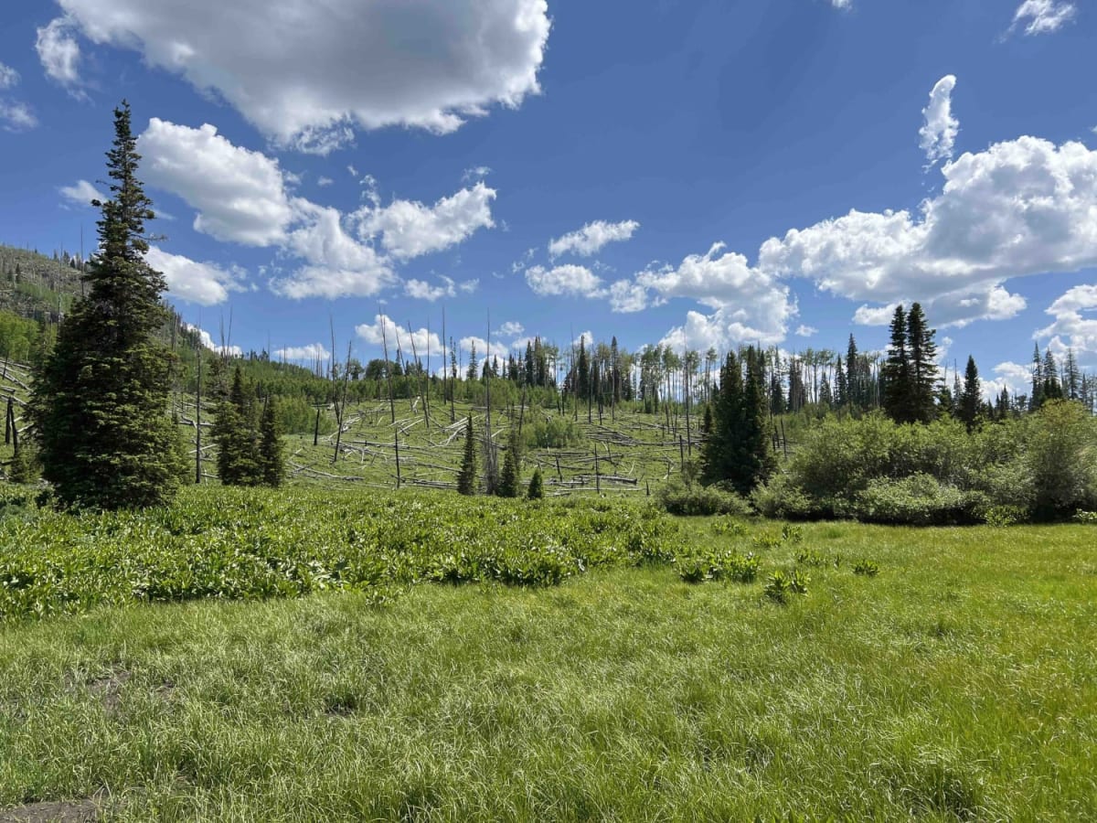 Willow Hollow Ridge photo 4