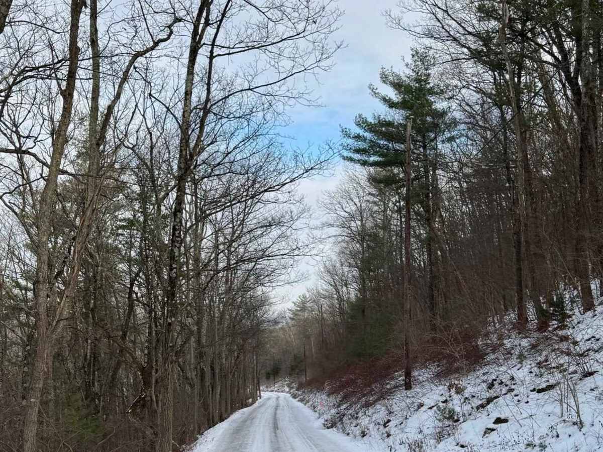 Brandon Road photo 5