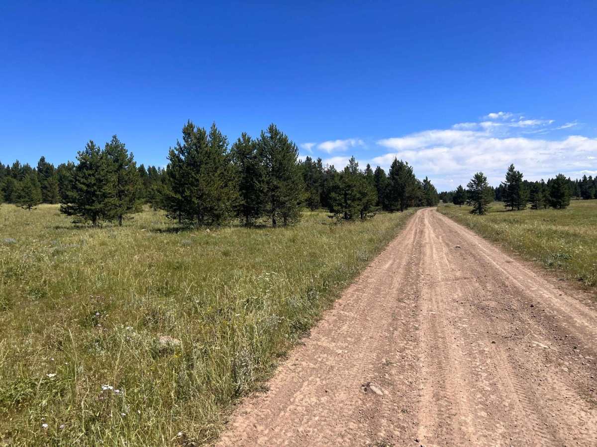 North Antelope Flat Road (20168) photo 3