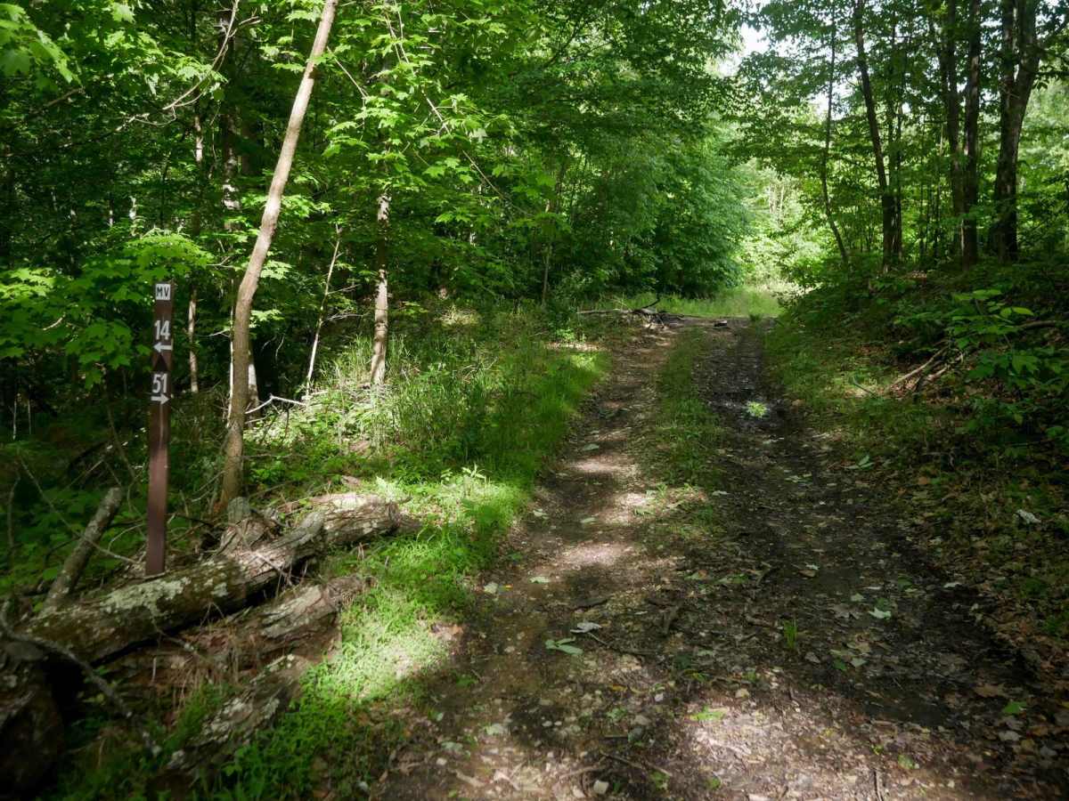 MV52 trail photo