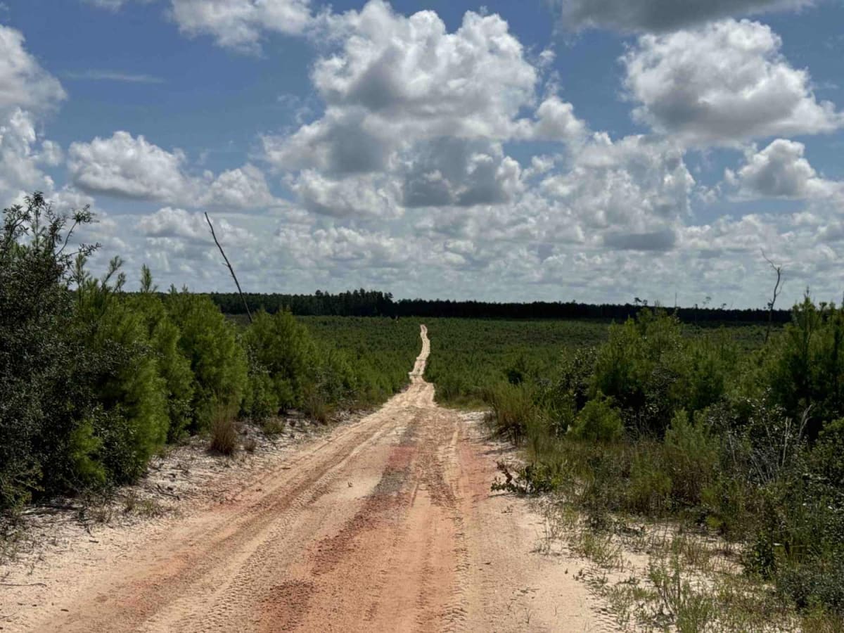 Lam Horse Trail - ONF 22-0.3A trail photo