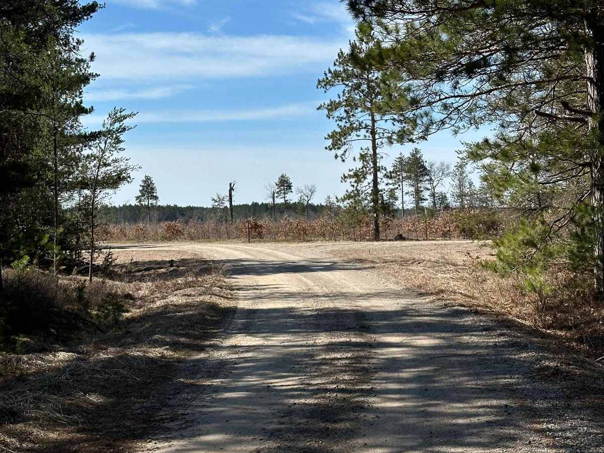 Sand Lake Road - FS 4436 photo 5