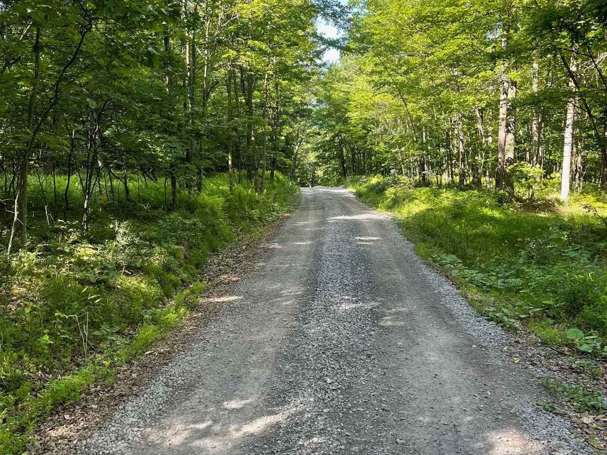 Sand Spring Road photo 4