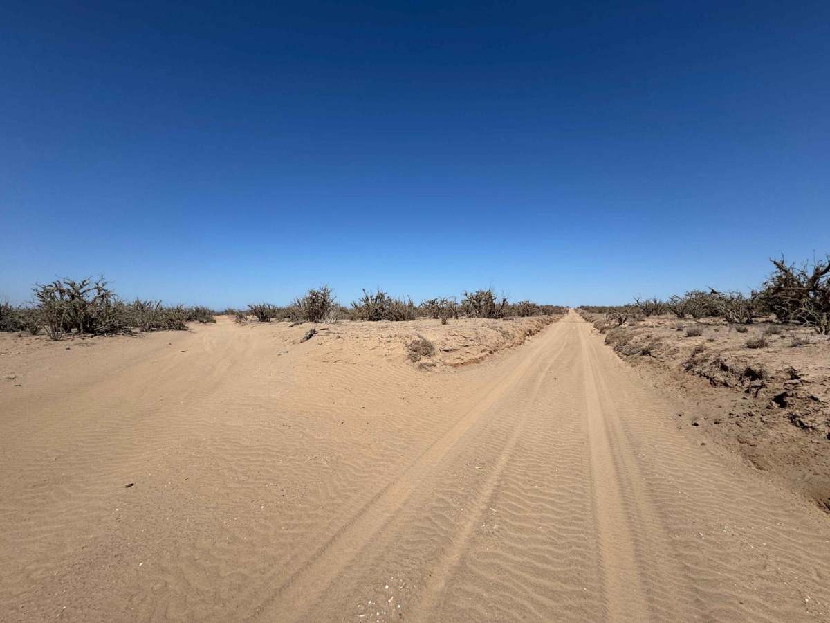 Estero Loop photo 2
