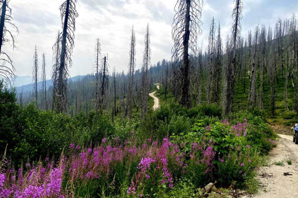 Trinity Lakes Mountain Trail