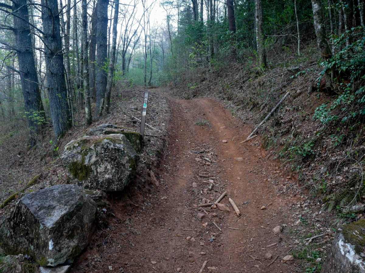 Buck Knob Trail 11 photo 4