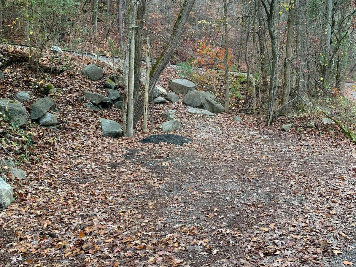 Spring Creek FSR 27 photo 2