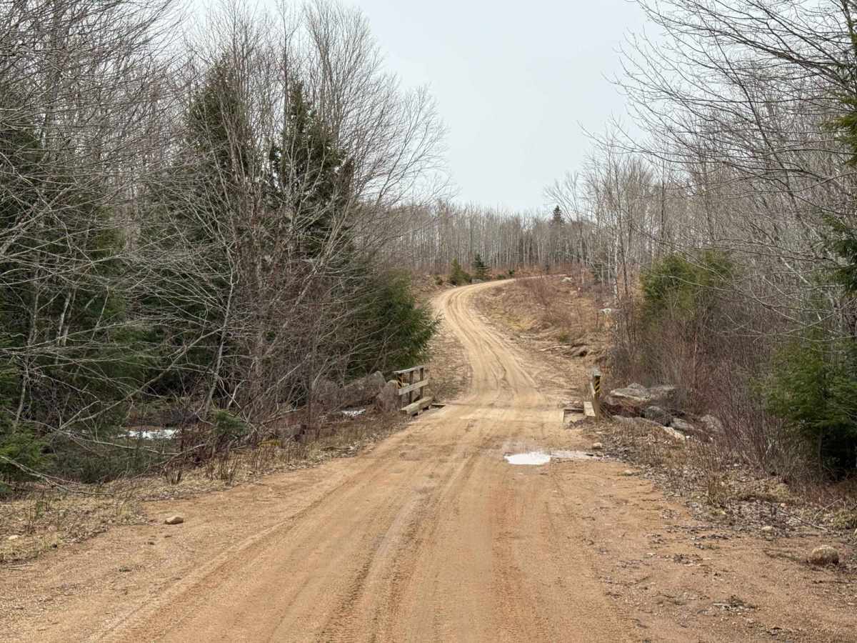Thorne Road Trail photo 5