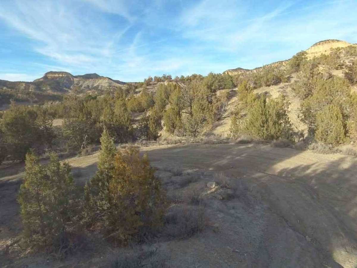 Deer Hollow-K2155 photo 3
