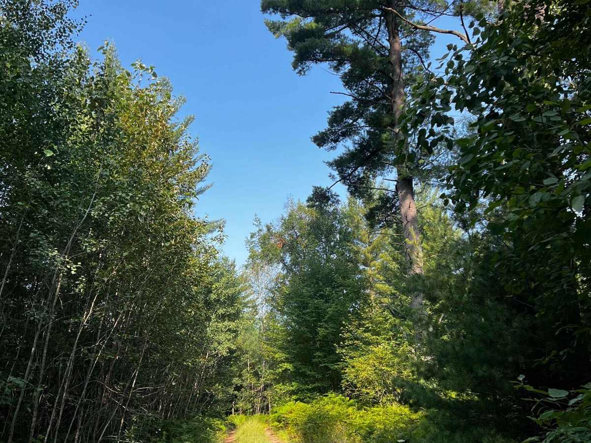 Trail 8 photo 2
