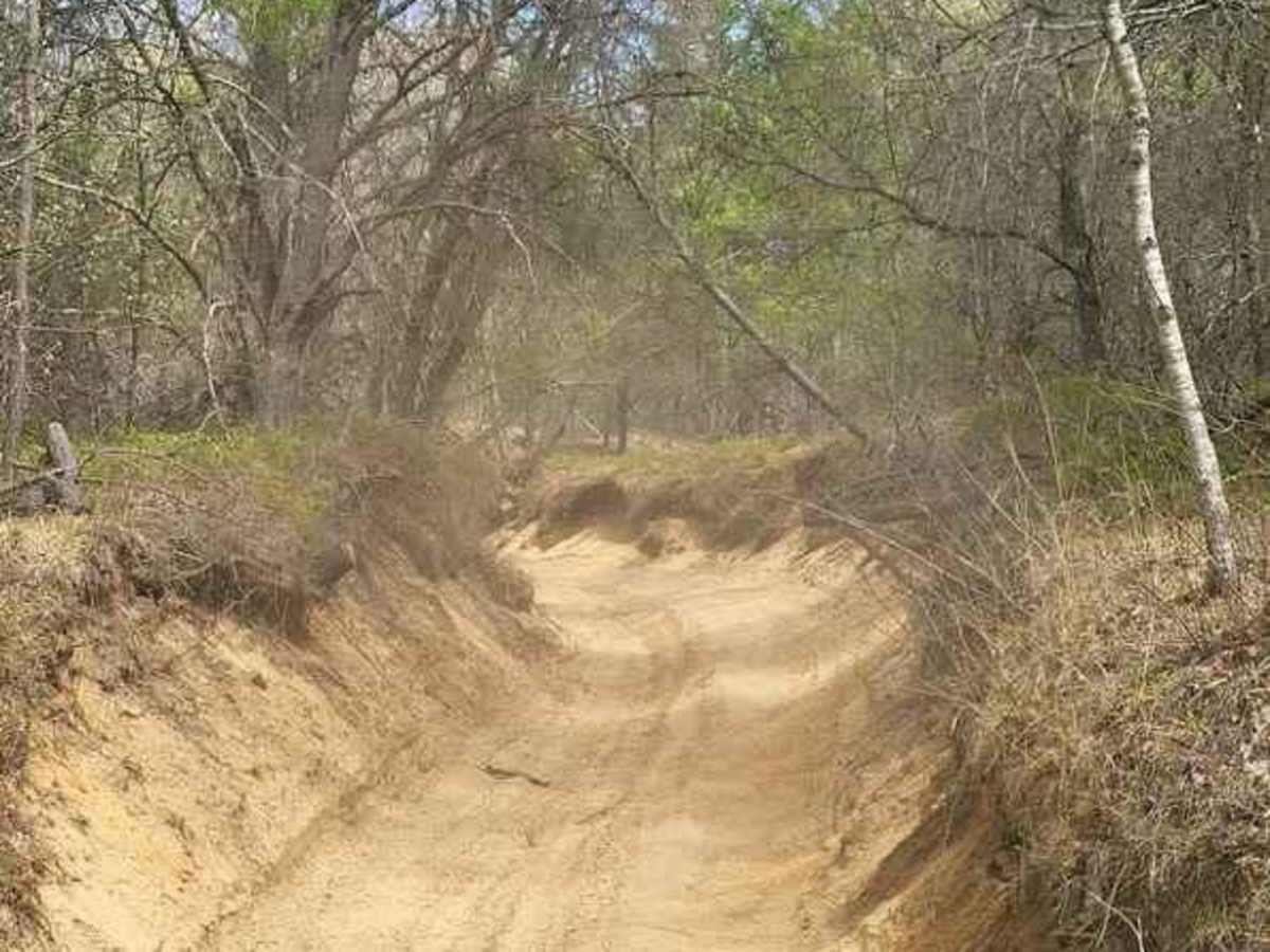 St. Helen ORV Route - South photo 3