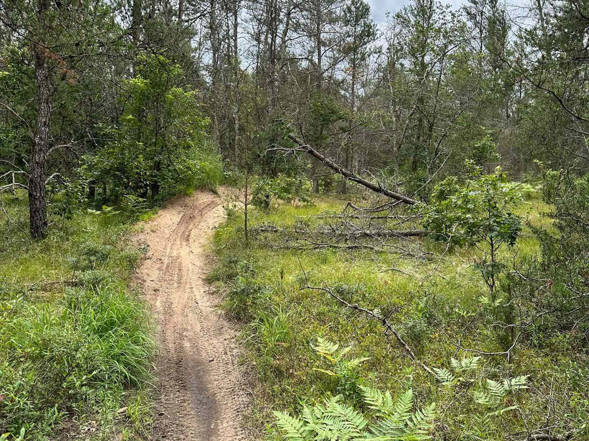 S/W Little Manistee Motorcycle Trail photo 2