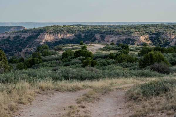 Lookout Trail