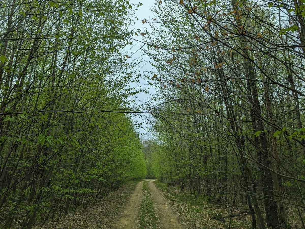 Kinmeade photo 5
