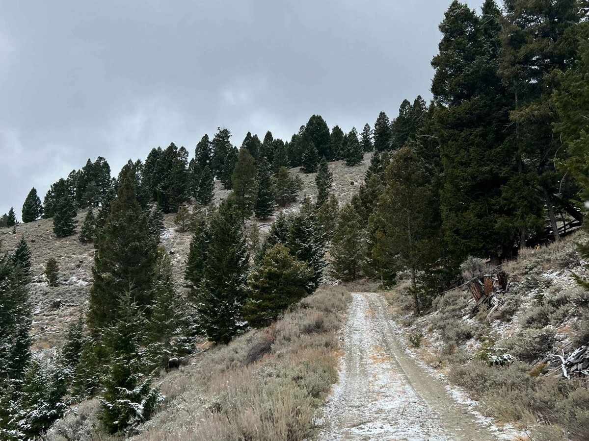 Ridge Runner photo 2