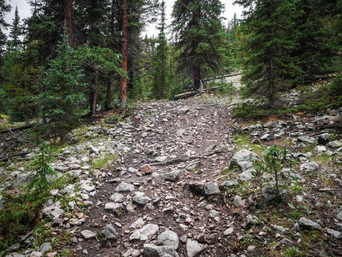 Gold Creek (North) photo 3