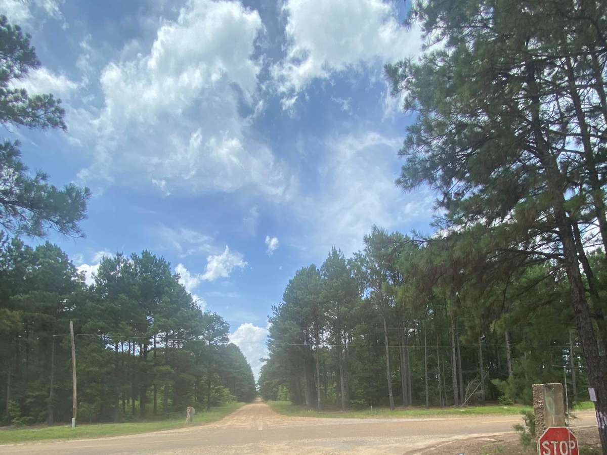 Potlach Road photo 5