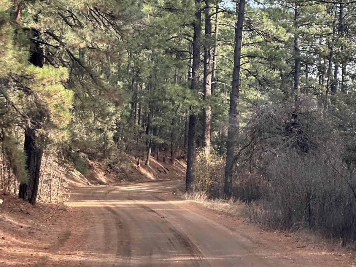 Fourth of July Campground photo 5