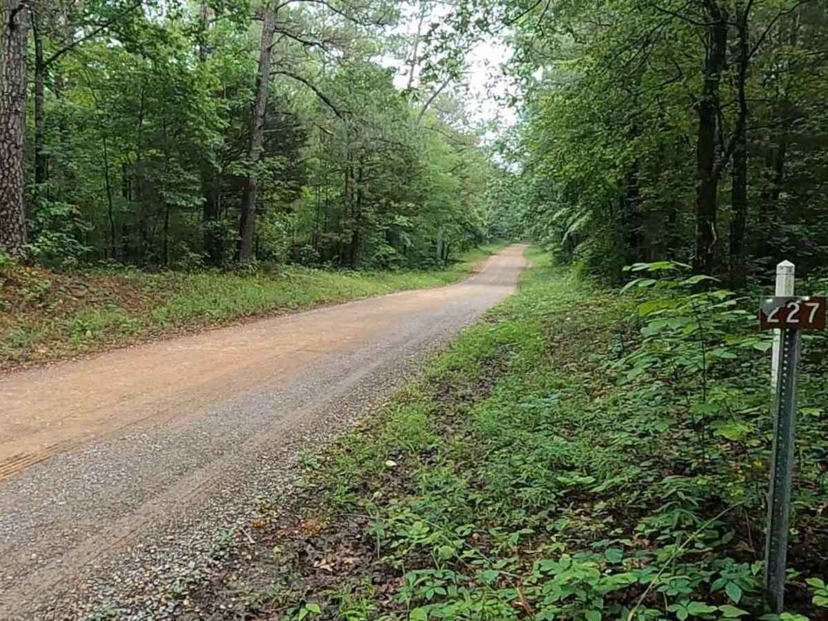 Gatlin Point South FSR 227 photo 4