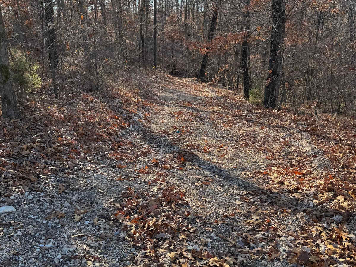 Yellow 212 trail photo