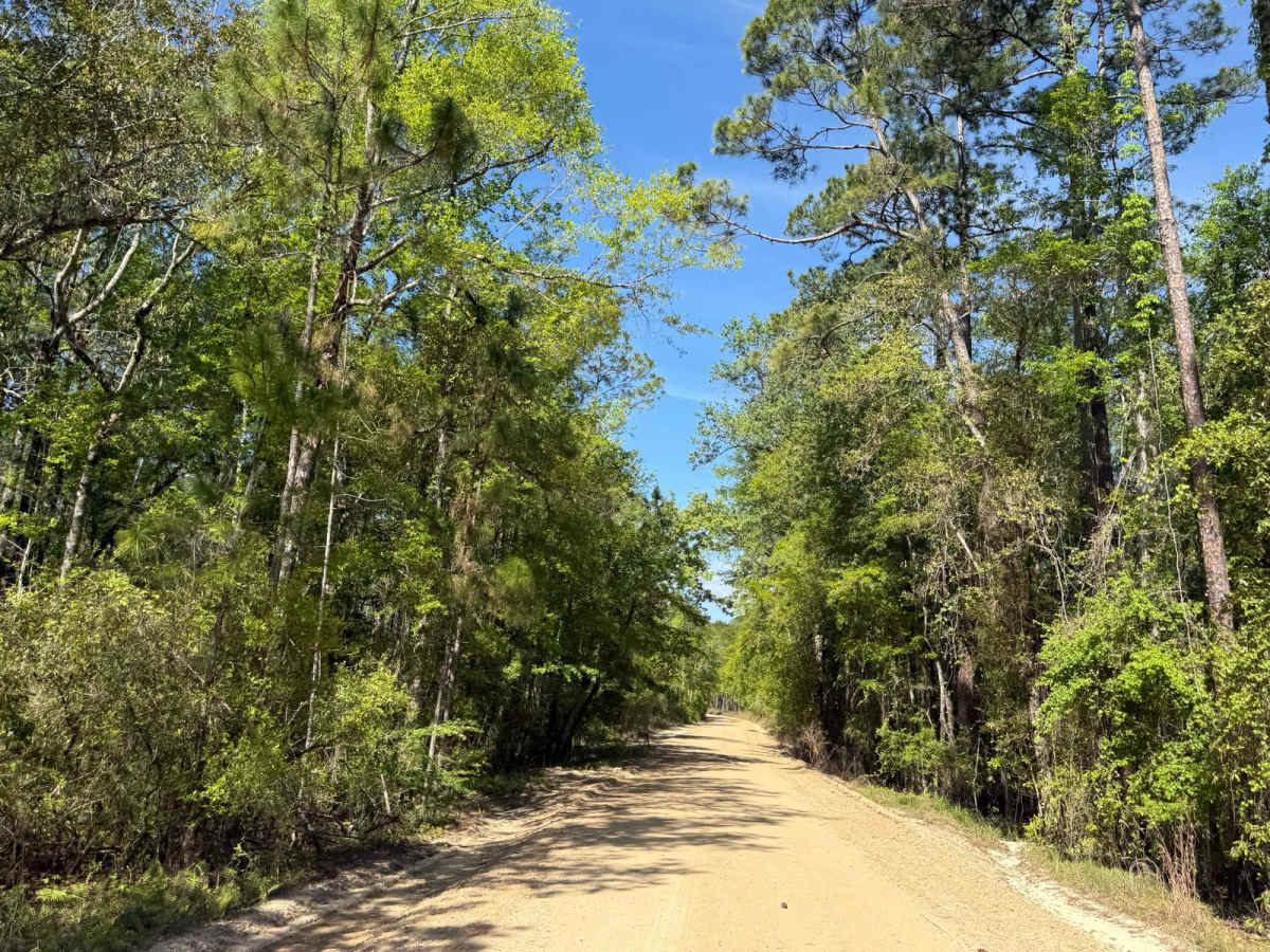 Evano Trail photo 5