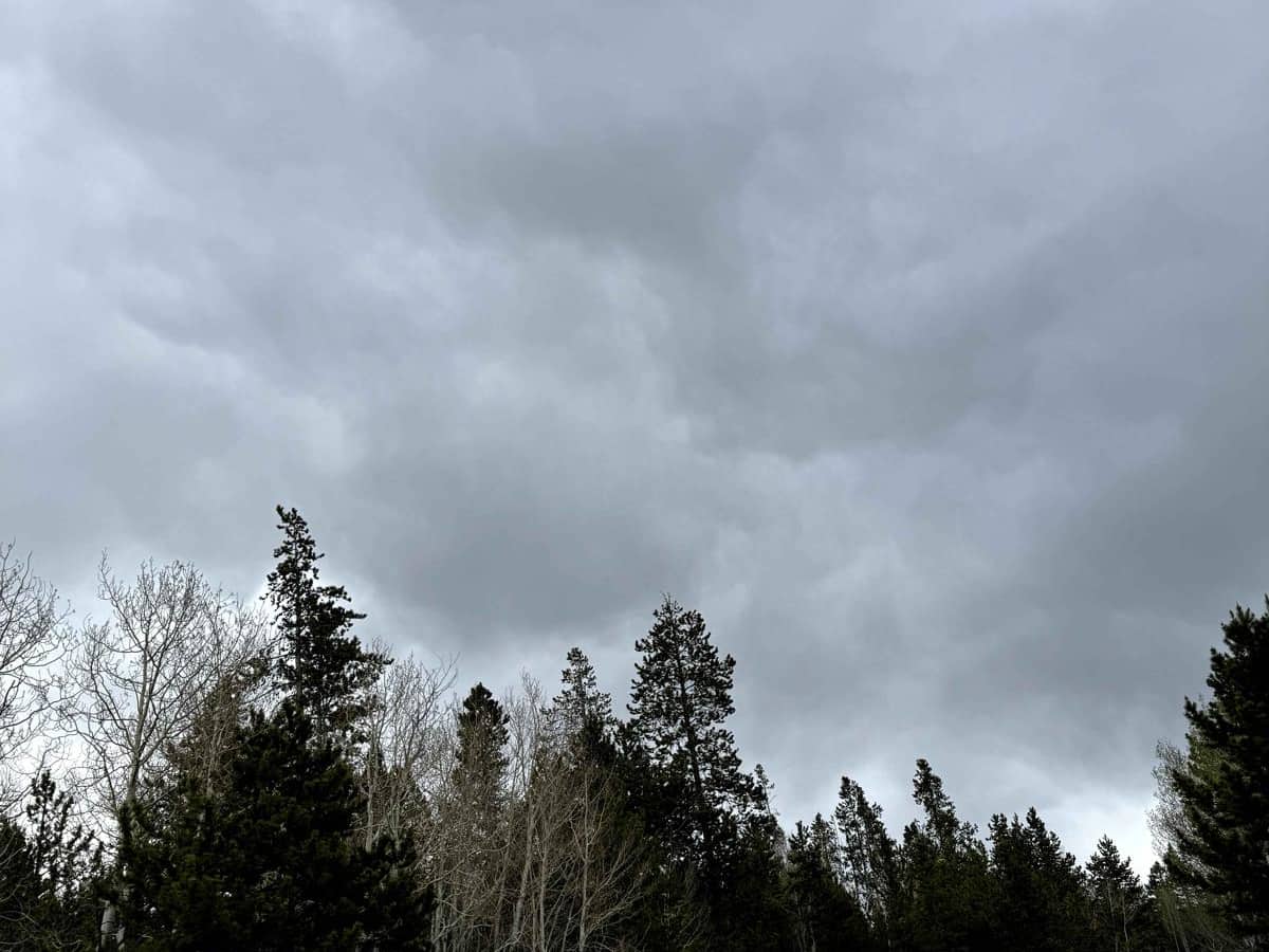 Lily Lake Road photo 2