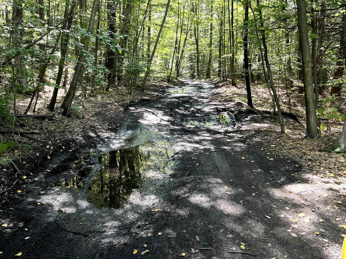 McIntyre Road photo 6