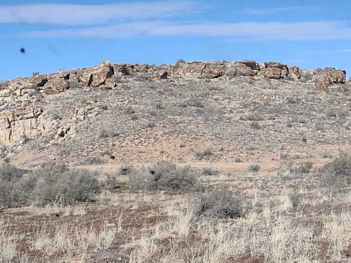 Northern Arizona High Desert (Part 2) photo 5