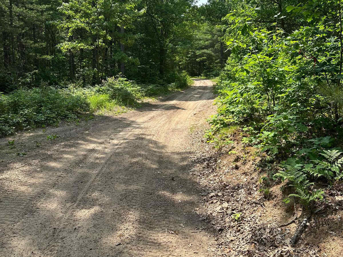 Rogers Road - Trail 58421 photo 4
